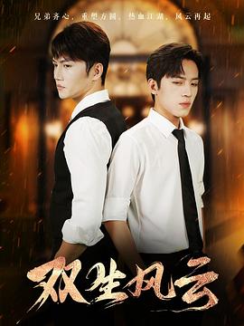 双生风云封面图