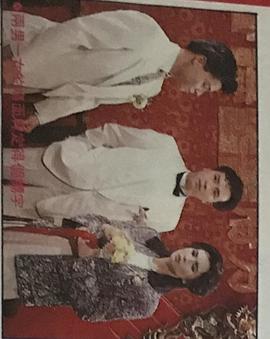 赶尽杀绝封面图