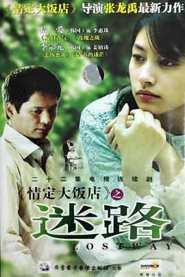 情定大饭店之迷路封面图