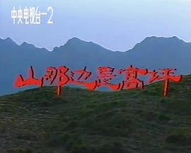 山那边是高坪封面图