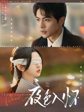 夜色入怀封面图