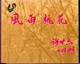 风雨桃花封面图