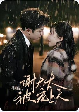 闪婚后，谢太太被宠上天封面图