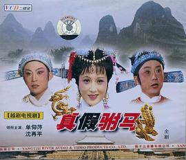 真假驸马封面图