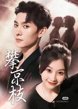 攀京枝封面图