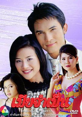 必要的妻子封面图