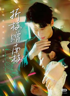 折枝赠南枝封面图