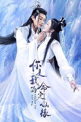 你是我的命定仙缘封面图