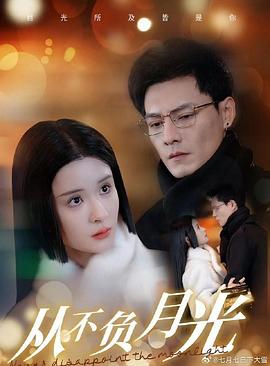 从不负月光封面图