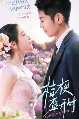 桔梗盛开时封面图