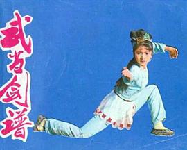 武当剑谱封面图