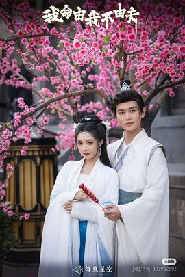 我命由我不由夫封面图