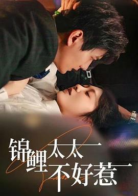 锦鲤太太不好惹封面图