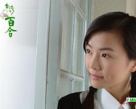 台湾百合封面图