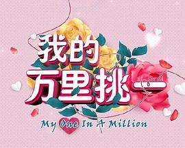 我的万里挑一封面图