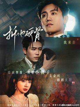 折他硬骨封面图