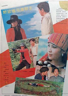 野玫瑰与黑郡主封面图