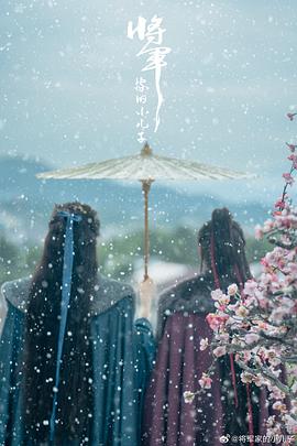 将军家的小儿子封面图