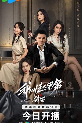 我叫赵甲第之锋芒封面图