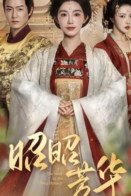 昭昭芳华封面图