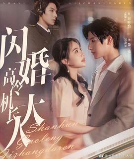 闪婚高冷机长大人封面图