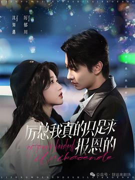 厉总我真的只是来报恩的封面图