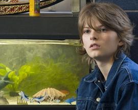 规范男孩封面图