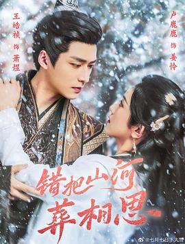 错把山河葬相思封面图