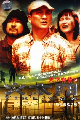 天下有情之火太阳封面图