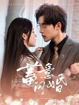 蓄意闪婚封面图