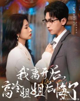 我离开后，高冷姐姐后悔了封面图