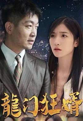 龙门狂婿封面图