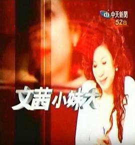 文茜小妹大封面图