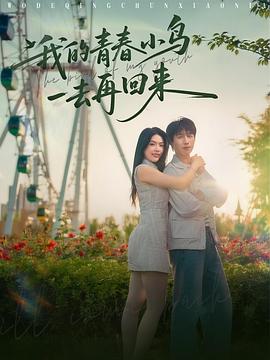 我的青春小鸟一去再回来封面图