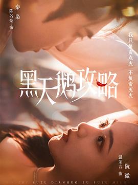 黑天鹅攻略封面图