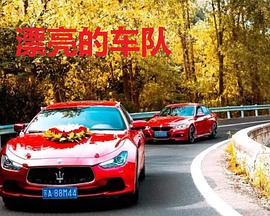 漂亮的车队封面图