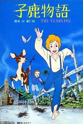 锦绣年华封面图