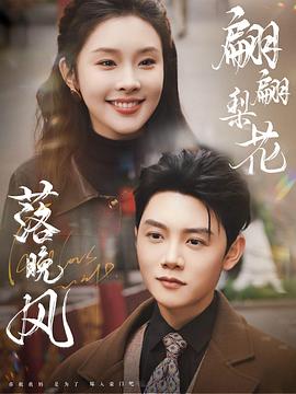 翩翩梨花落晚风封面图