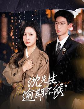 沈先生，逾期不候封面图