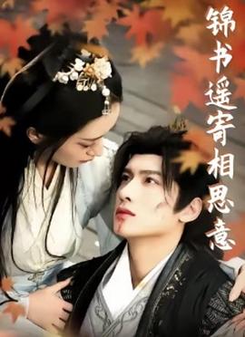 锦书遥寄相思意封面图