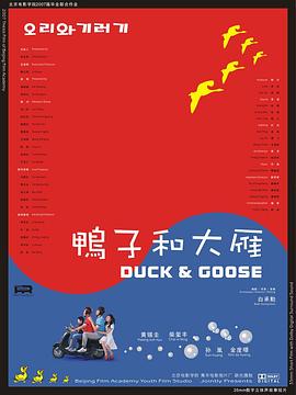 鸭子和大雁封面图