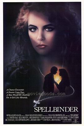 蜘蛛陷阱封面图