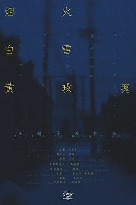烟火白雪黄玫瑰封面图