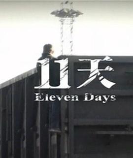 11天封面图