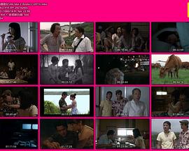 嫁到韩国的女人封面图