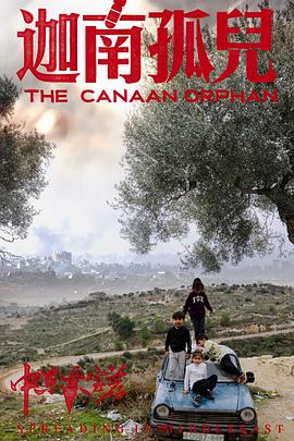 中东大宝荐2：迦南孤儿封面图
