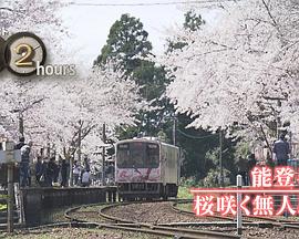 纪实72小时 能登半岛·樱花盛放的无人车站封面图