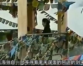 天海祐希DNA溯源之旅封面图