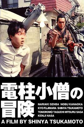 电线杆小子大冒险封面图