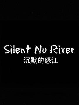 沉默的怒江封面图